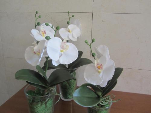 Mirafiori 2*